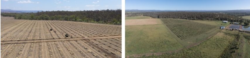 Net Zero Greener pastures